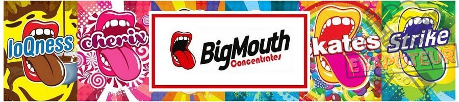 Arôme Concentré Big Mouth DIY