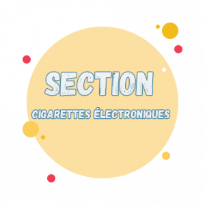 section cigarette electronique