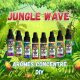 Arôme Concentré Jungle Wave DIY